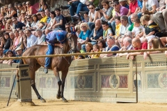 Foto Palio di Siena  - Alessia Bruchi Fotografia