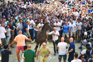 Zio Frac in Fontebranda