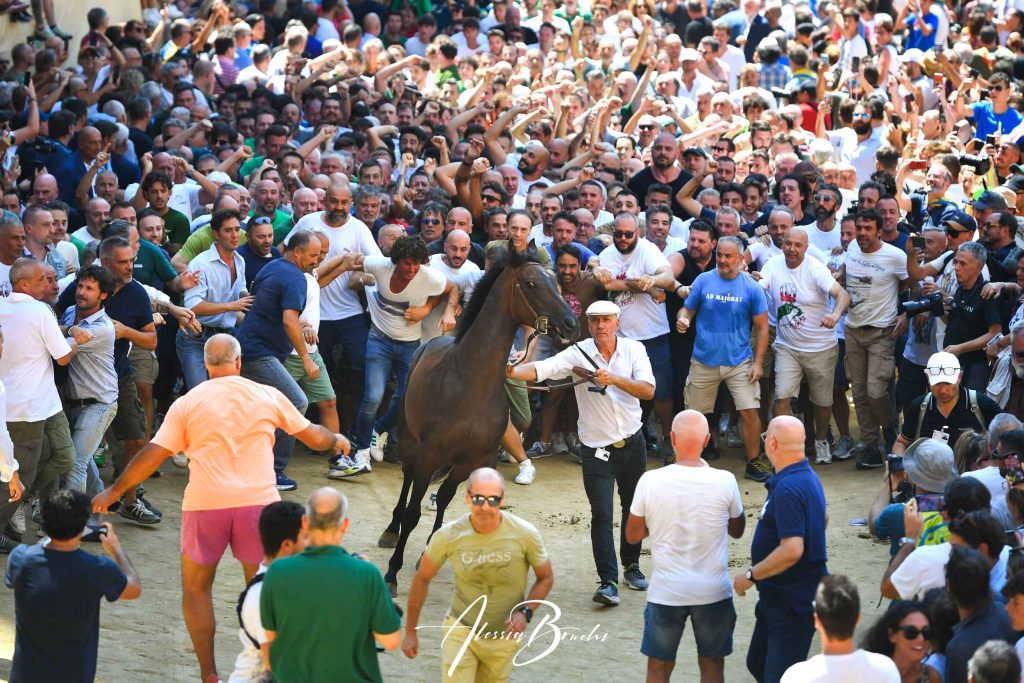 Foto Palio di Siena Piazza del Campo