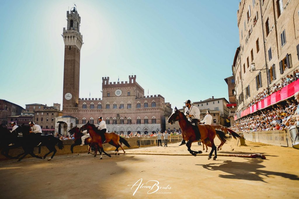 Foto Palio di Siena: Archivio Fotografico del Palio di Siena -