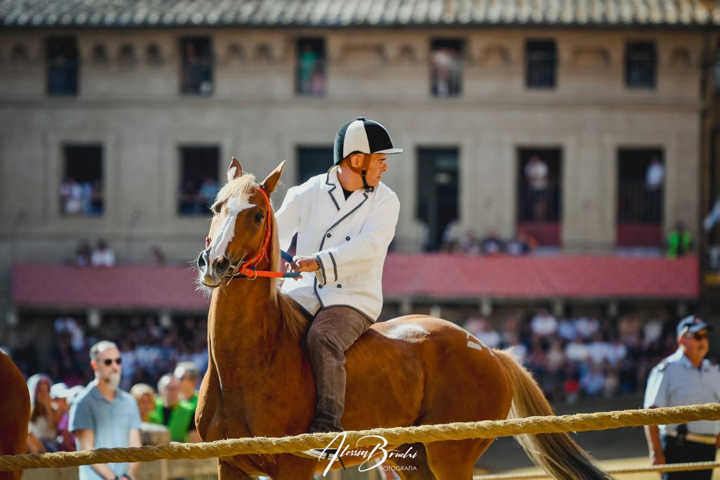 Foto Palio di Siena