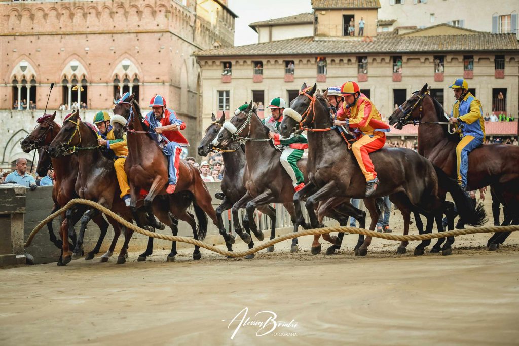 Foto Cavalli Palio di Siena