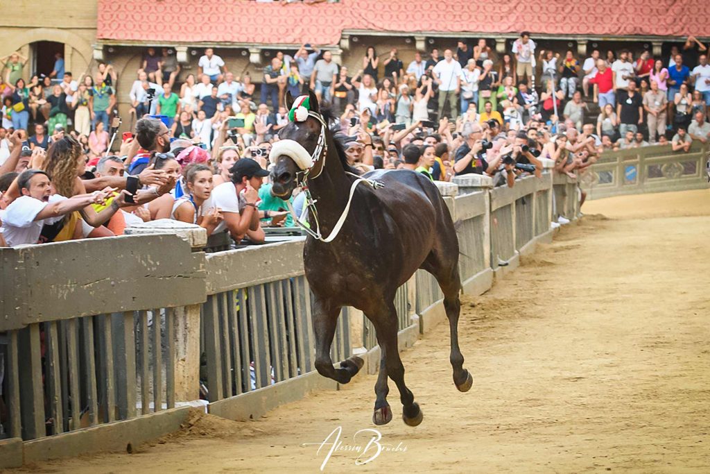 Zio Frac Scosso Vittoria Oca Palio Agosto 2023